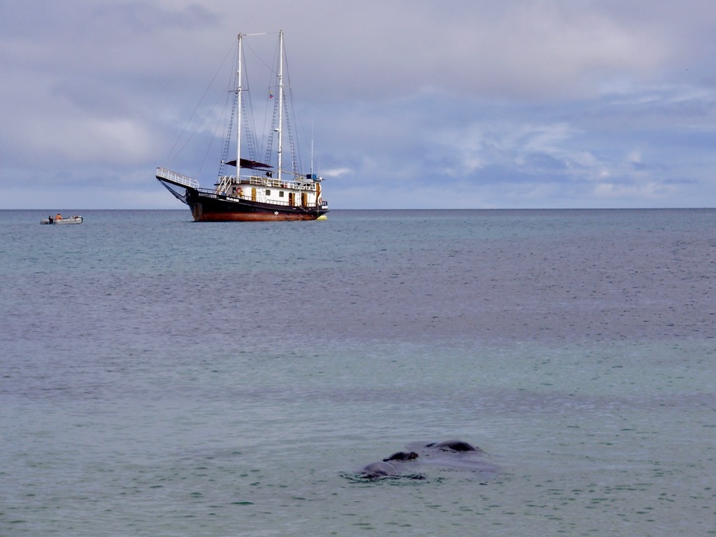 Galapagos-Floreana-6