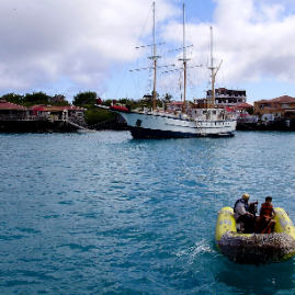 Galapagos_270809_3586