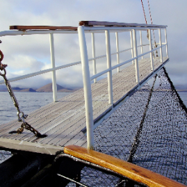 Galapagos_280809_3638