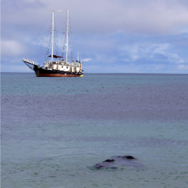 Galapagos_280809_3695