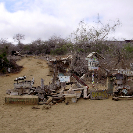 Galapagos_280809_3700