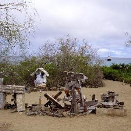 Galapagos_280809_3709