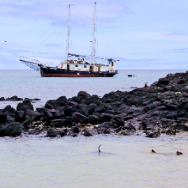 Galapagos_280809_3727