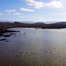 Galapagos_280809_3769