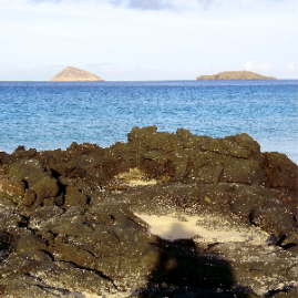 Galapagos_280809_3795