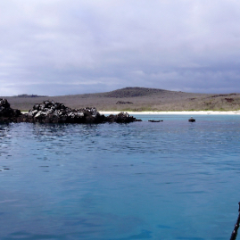 Galapagos_290809_3864