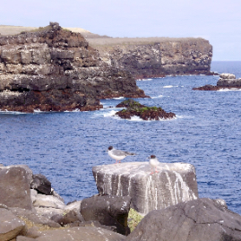 Galapagos_290809_4049