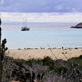 Galapagos_300809_4154