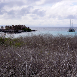 Galapagos_300809_4162