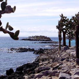 Galapagos_300809_4184