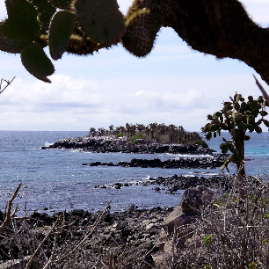 Galapagos_300809_4188