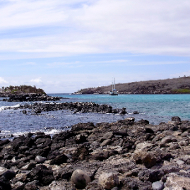Galapagos_300809_4208