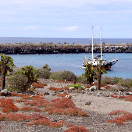 Galapagos_300809_4243