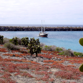 Galapagos_300809_4266