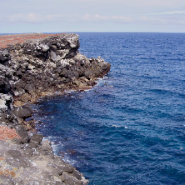 Galapagos_300809_4272