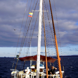 Galapagos_300809_4344