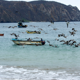 Ecuador_060809_2174