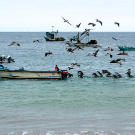 Ecuador_060809_2173