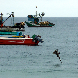 Ecuador_020809_1858